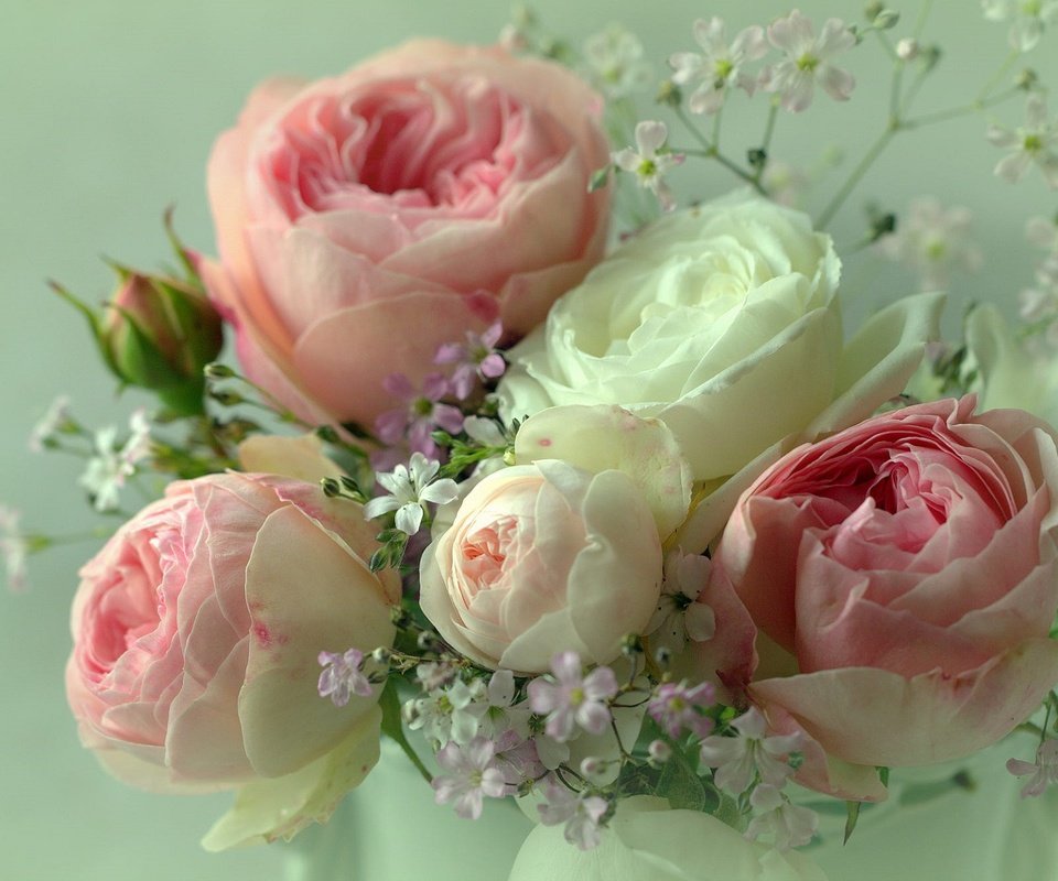 Обои цветы, фон, розы, лепестки, букет, sonata zemgulienе, flowers, background, roses, petals, bouquet разрешение 1920x1279 Загрузить