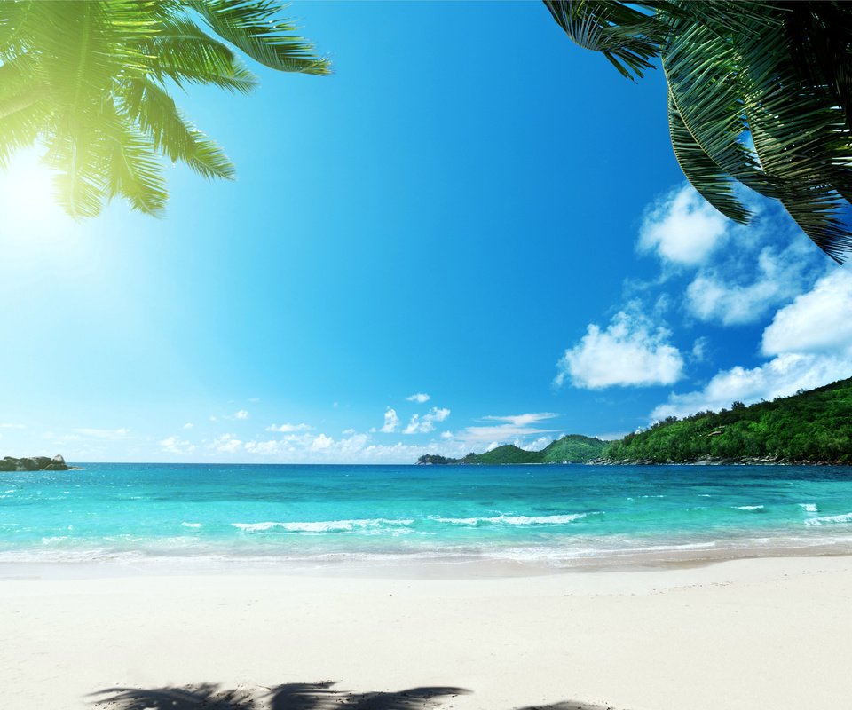 Обои море, пляж, тропики, sea, beach, tropics разрешение 6480x4320 Загрузить