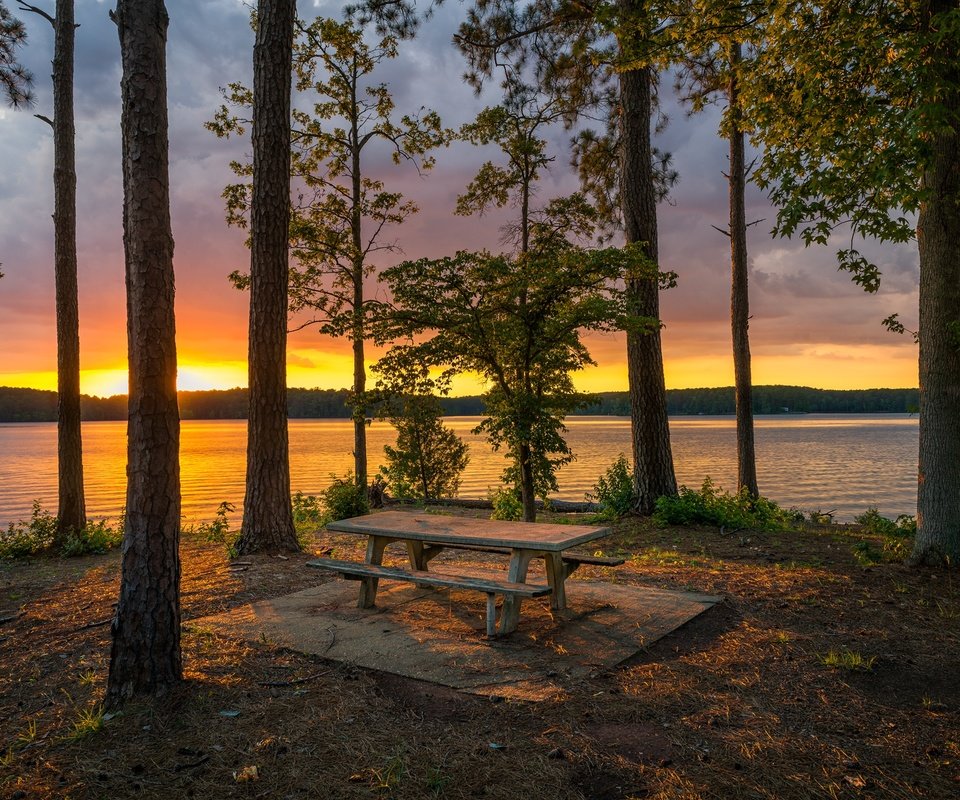 Обои деревья, озеро, берег, лес, закат, стволы, скамейка, trees, lake, shore, forest, sunset, trunks, bench разрешение 2048x1366 Загрузить