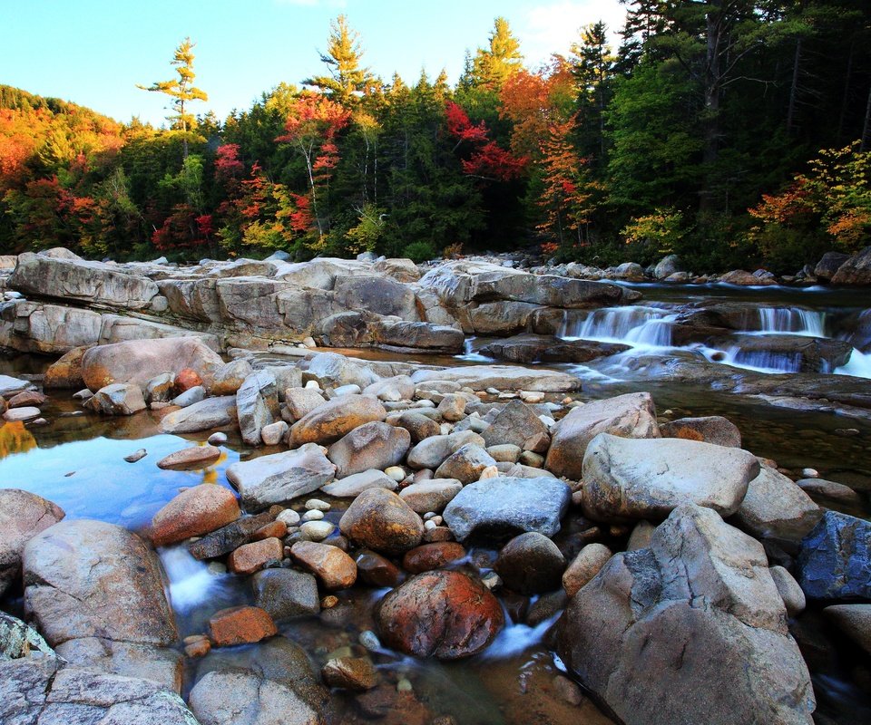 Обои деревья, река, камни, лес, осень, поток, булыжники, trees, river, stones, forest, autumn, stream разрешение 4997x3339 Загрузить