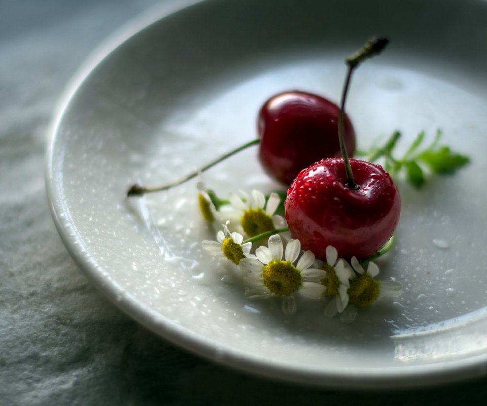 Обои цветы, ромашка, черешня, блюдце, ягоды, вишня, julie jablonski, flowers, daisy, cherry, saucer, berries разрешение 2560x1663 Загрузить