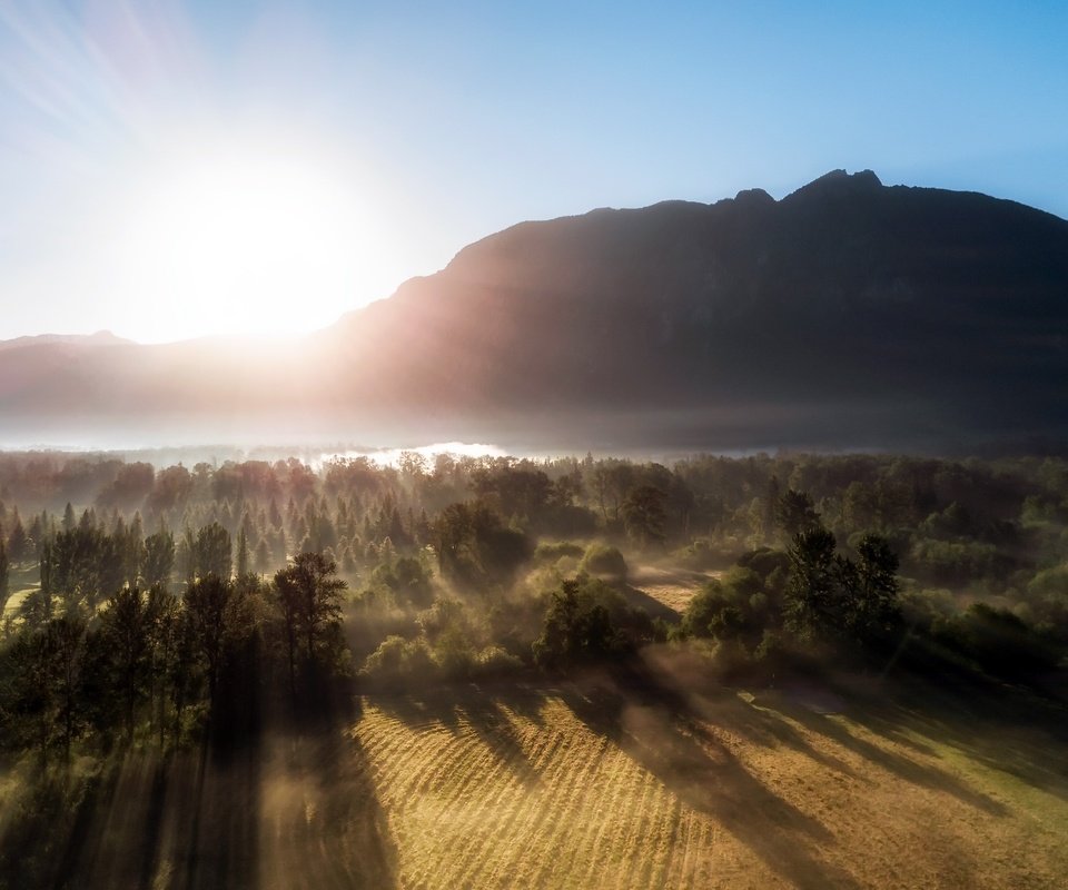 Обои свет, река, горы, природа, лес, утро, туман, рассвет, light, river, mountains, nature, forest, morning, fog, dawn разрешение 2560x1600 Загрузить