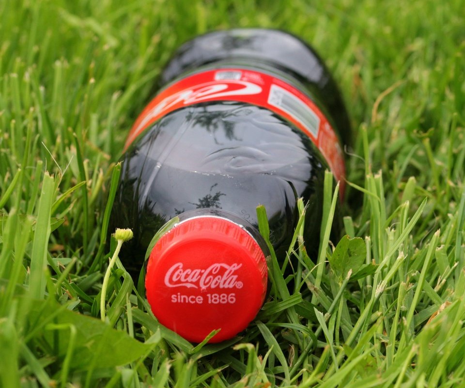 Обои трава, напиток, бутылка, лужайка, газон, кока-кола, кола, grass, drink, bottle, lawn, coca-cola, cola разрешение 5184x3456 Загрузить