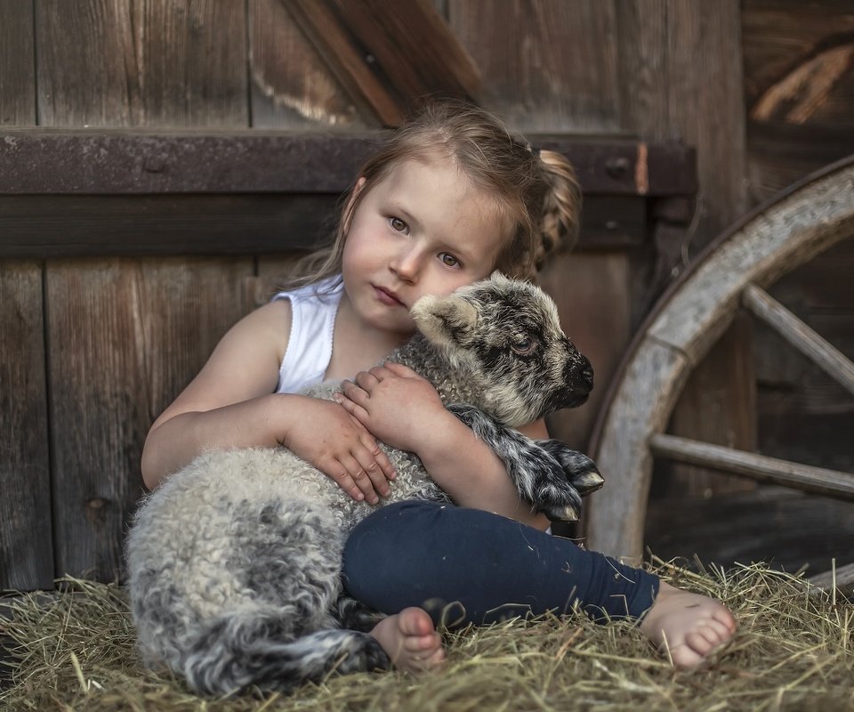 Обои сено, взгляд, дети, девочка, нежность, овечка, овца, hay, look, children, girl, tenderness, sheep разрешение 2560x1707 Загрузить