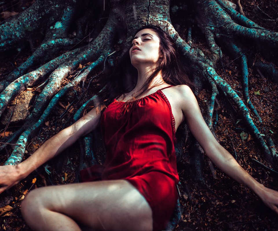 Обои дерево, лес, девушка, платье, сон, корни, отдых, tree, forest, girl, dress, sleep, roots, stay разрешение 2000x1125 Загрузить