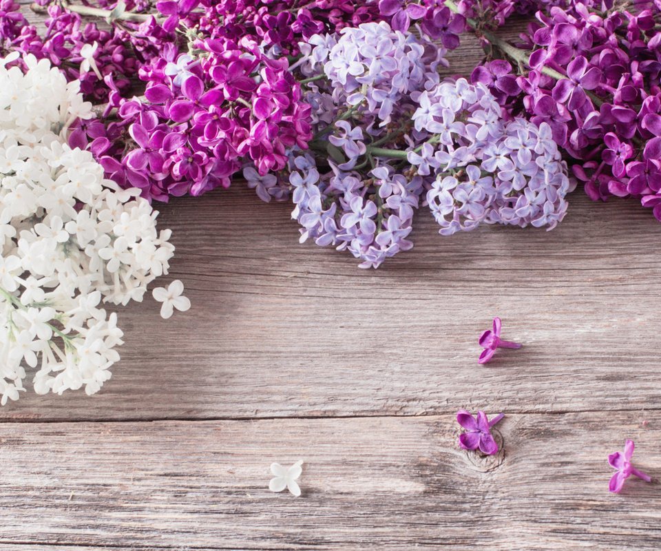 Обои цветы, весна, сирень, деревянная поверхность, flowers, spring, lilac, wooden surface разрешение 1920x1200 Загрузить