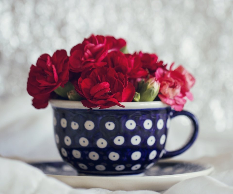 Обои цветы, букет, чашка, гвоздики, flowers, bouquet, cup, clove разрешение 3883x3180 Загрузить