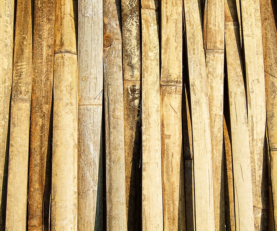 Обои текстура, стена, бамбук, древесина, texture, wall, bamboo, wood разрешение 2848x2136 Загрузить