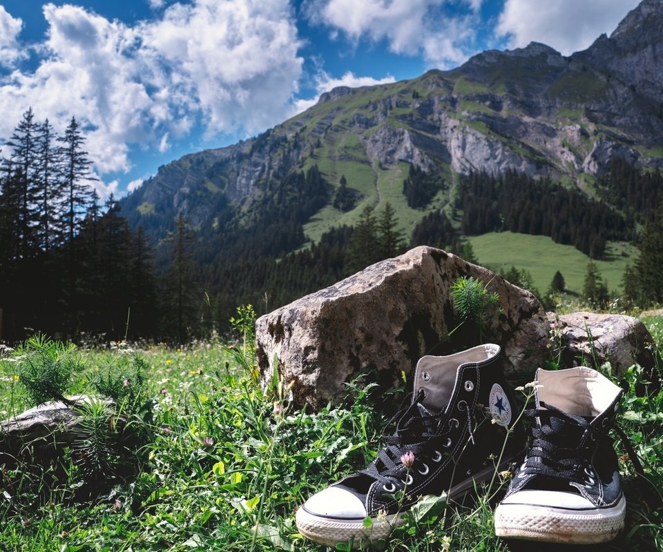 Обои небо, трава, облака, деревья, горы, кеды, камень, the sky, grass, clouds, trees, mountains, sneakers, stone разрешение 2048x1298 Загрузить