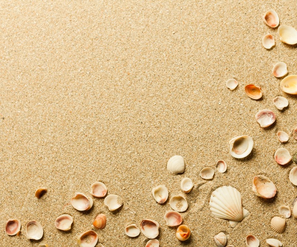 Обои песок, пляж, ракушки, sand, beach, shell разрешение 3840x2560 Загрузить