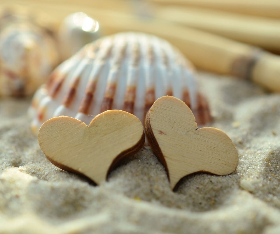 Обои песок, сердце, сердечки, ракушка, sand, heart, hearts, shell разрешение 4928x3264 Загрузить