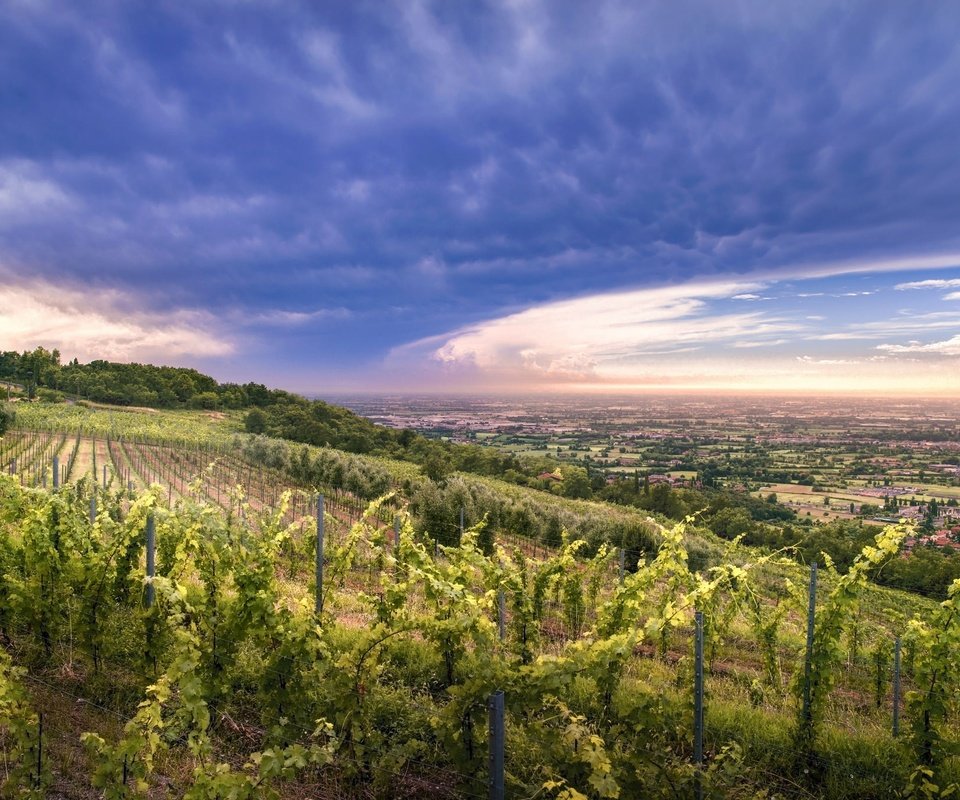 Обои небо, облака, холмы, природа, закат, долина, виноградник, the sky, clouds, hills, nature, sunset, valley, vineyard разрешение 2048x1367 Загрузить