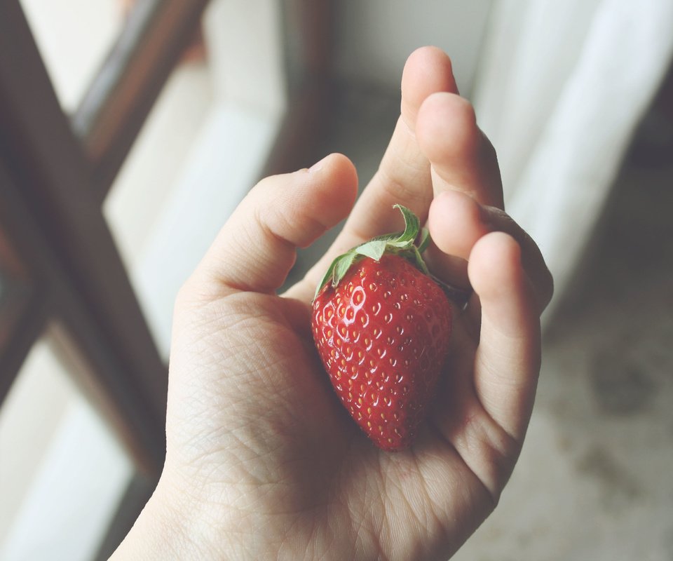 Обои рука, ягода, клубника, окно, пальцы, hand, berry, strawberry, window, fingers разрешение 3888x2592 Загрузить