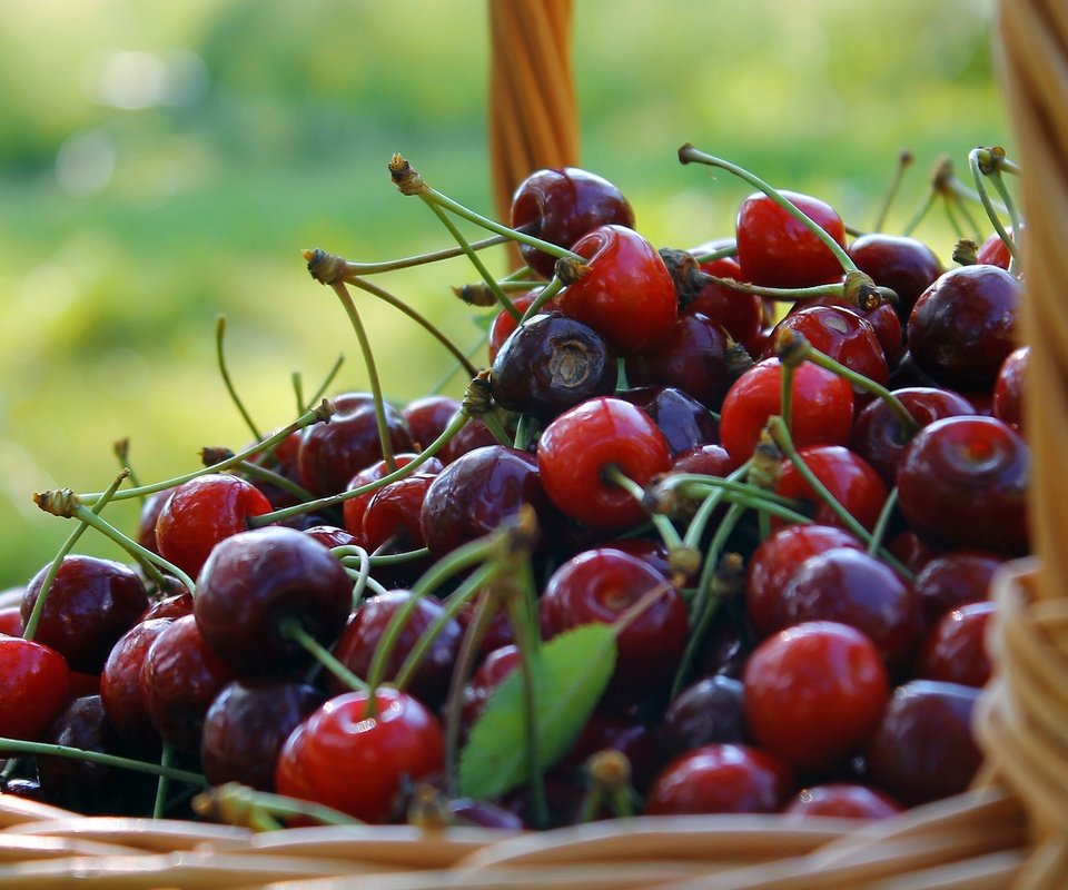 Обои фон, черешня, ягоды, вишня, корзинка, лукошко, background, cherry, berries, basket разрешение 3272x1841 Загрузить