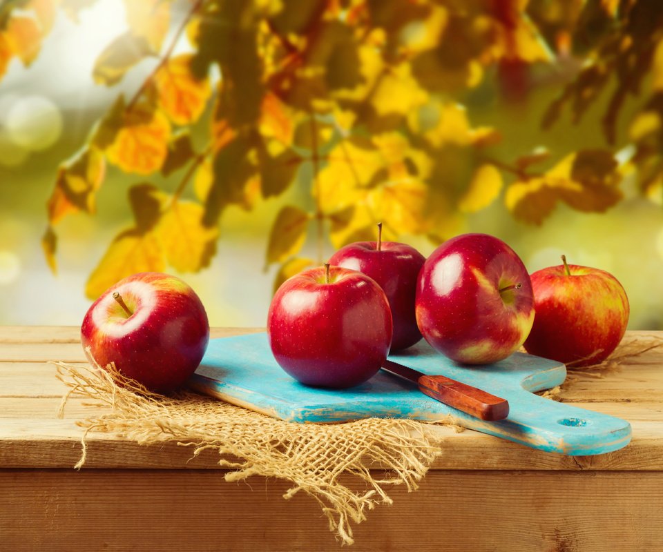 Обои листья, доска, фрукты, яблоки, осень, плоды, нож, leaves, board, fruit, apples, autumn, knife разрешение 5677x3785 Загрузить