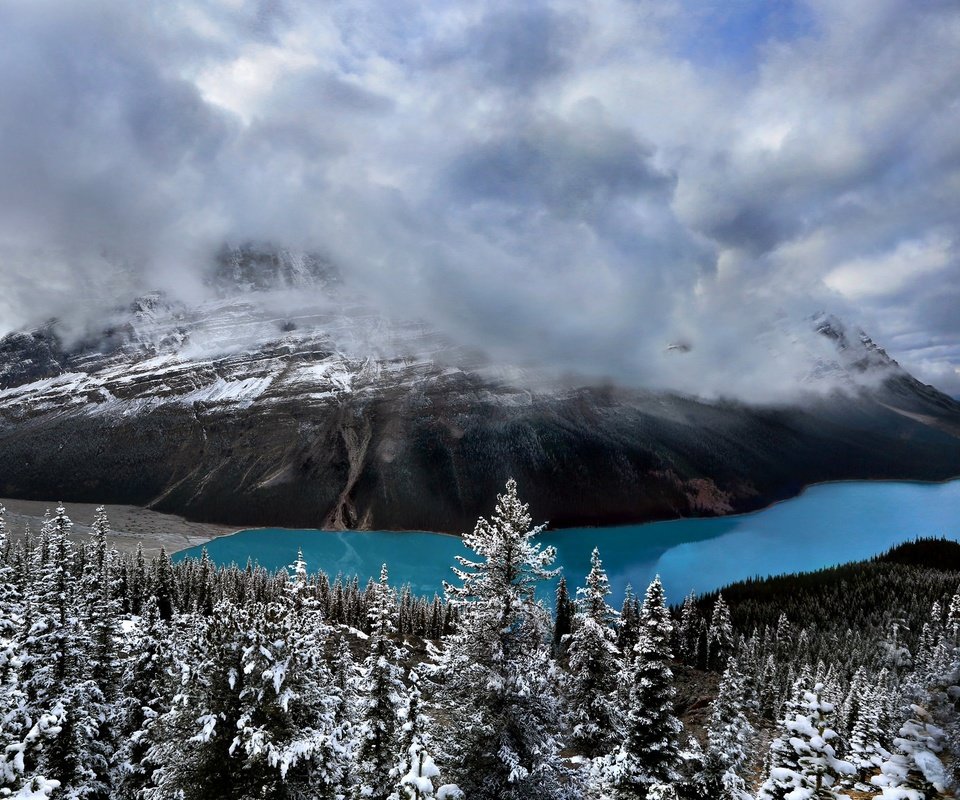 Обои небо, peyto lake, облака, озеро, горы, природа, лес, канада, национальный парк банф, the sky, clouds, lake, mountains, nature, forest, canada, banff national park разрешение 2048x1165 Загрузить