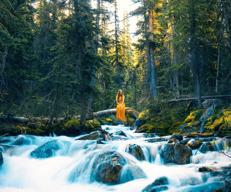 Обои деревья, река, камни, лес, девушка, платье, поток, lizzy gadd, trees, river, stones, forest, girl, dress, stream разрешение 2000x1396 Загрузить