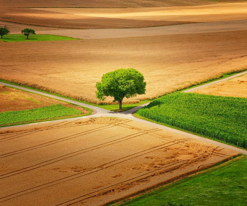 Обои природа, дерево, пейзаж, поле, дороги, германия, little♥krawler, гессен, nature, tree, landscape, field, road, germany, hessen разрешение 2048x1365 Загрузить