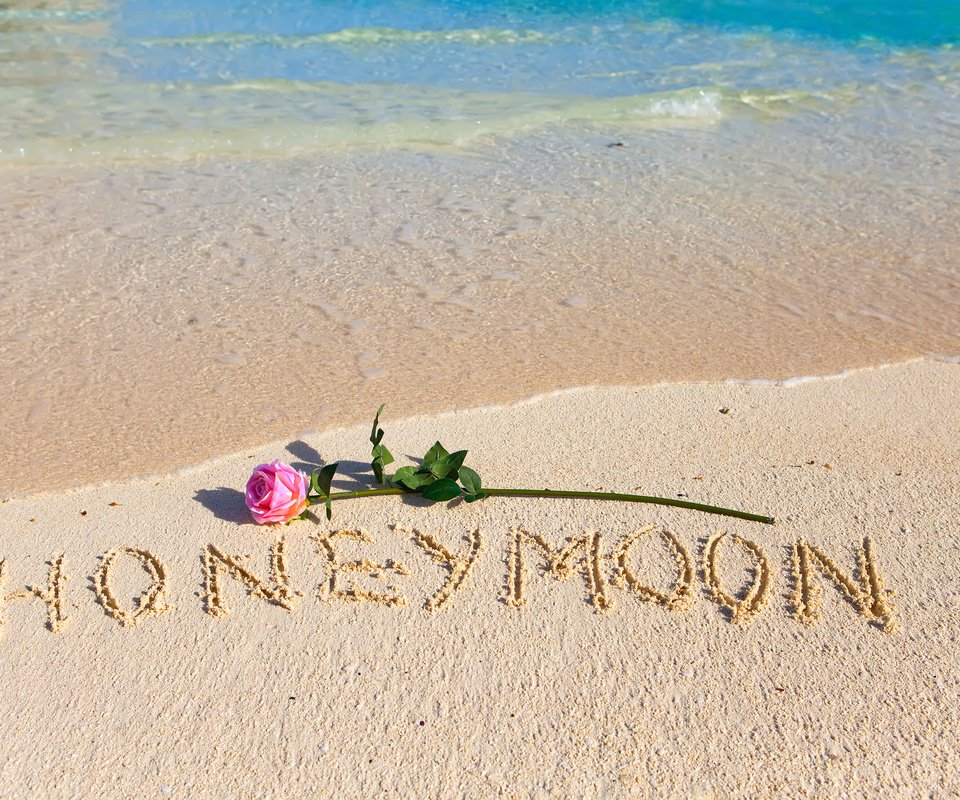 Обои море, honeymoon, цветок, песок, пляж, роза, романтик, тропическая, влюбленная, sea, flower, sand, beach, rose, romantic, tropical, love разрешение 3500x2326 Загрузить