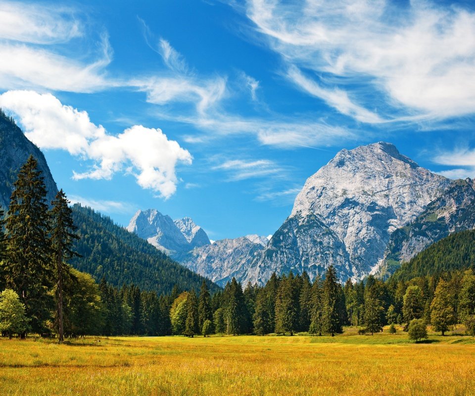 Обои небо, трава, облака, деревья, горы, поле, баварские альпы, the sky, grass, clouds, trees, mountains, field, the bavarian alps разрешение 4100x2733 Загрузить