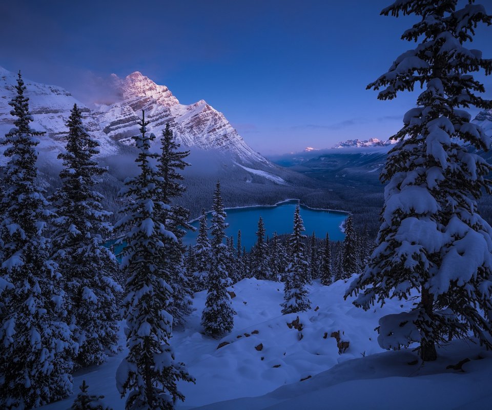 Обои озеро, горы, снег, лес, зима, канада, национальный парк банф, peyto lake, lake, mountains, snow, forest, winter, canada, banff national park разрешение 4000x2463 Загрузить