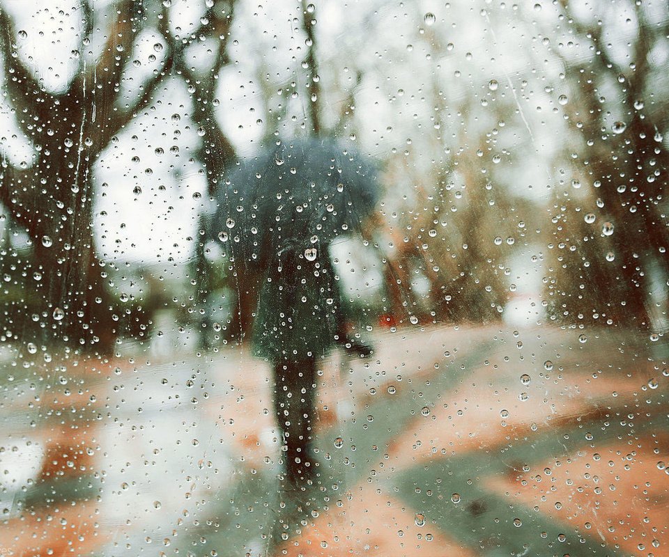 Обои деревья, девушка, капли, модель, дождь, зонт, rainy days, luis valadares, trees, girl, drops, model, rain, umbrella разрешение 1920x1280 Загрузить