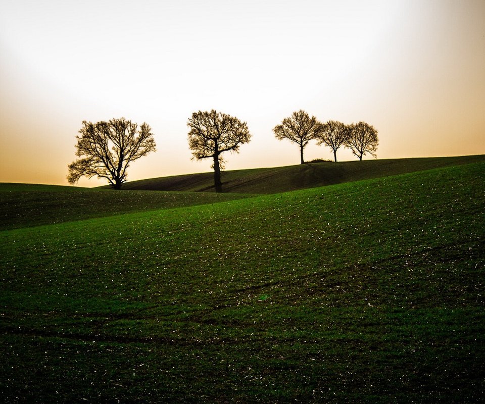 Обои небо, деревья, вечер, холмы, поле, the sky, trees, the evening, hills, field разрешение 1920x1080 Загрузить