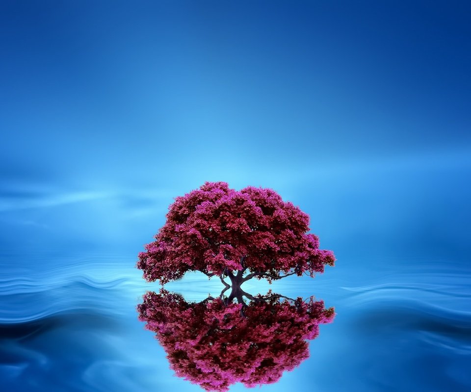 Обои дерево, отражение, фон, волна, tree, reflection, background, wave разрешение 2048x1152 Загрузить