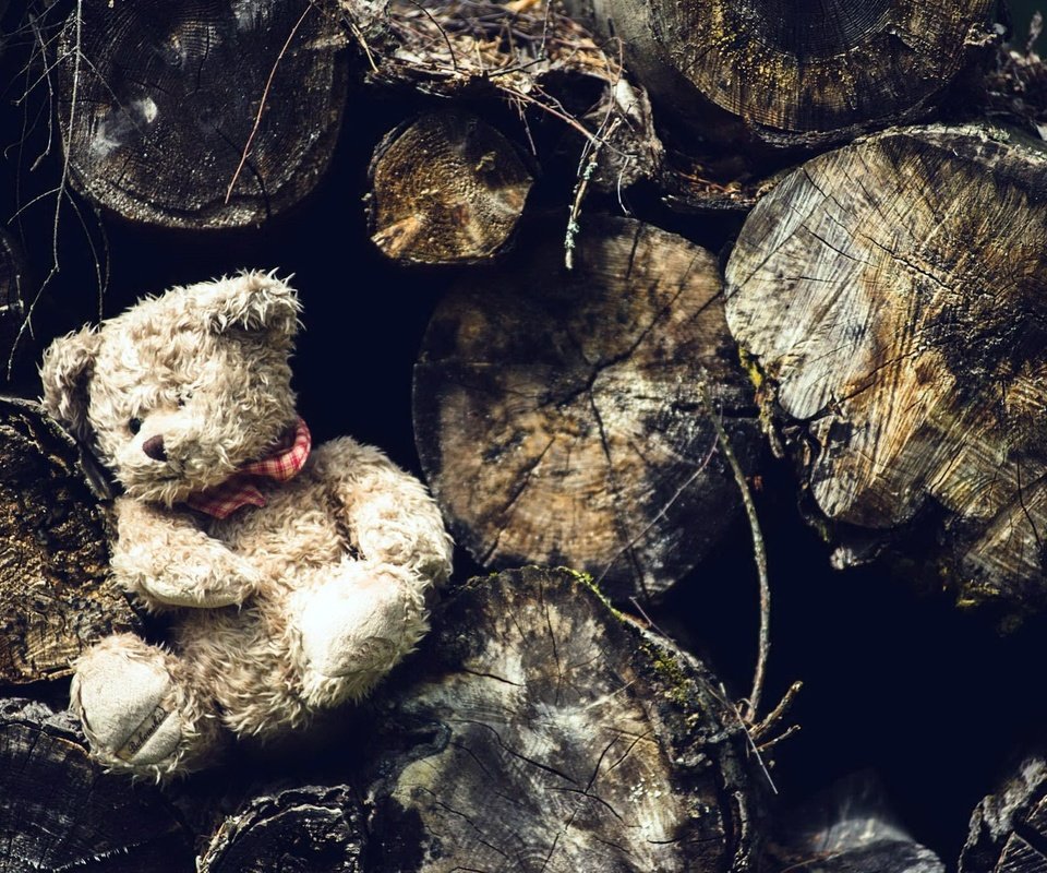 Обои медведь, мишка, игрушка, бревна, плюшевый медведь, мягкая игрушка, bear, toy, logs, teddy bear, soft toy разрешение 2048x1366 Загрузить