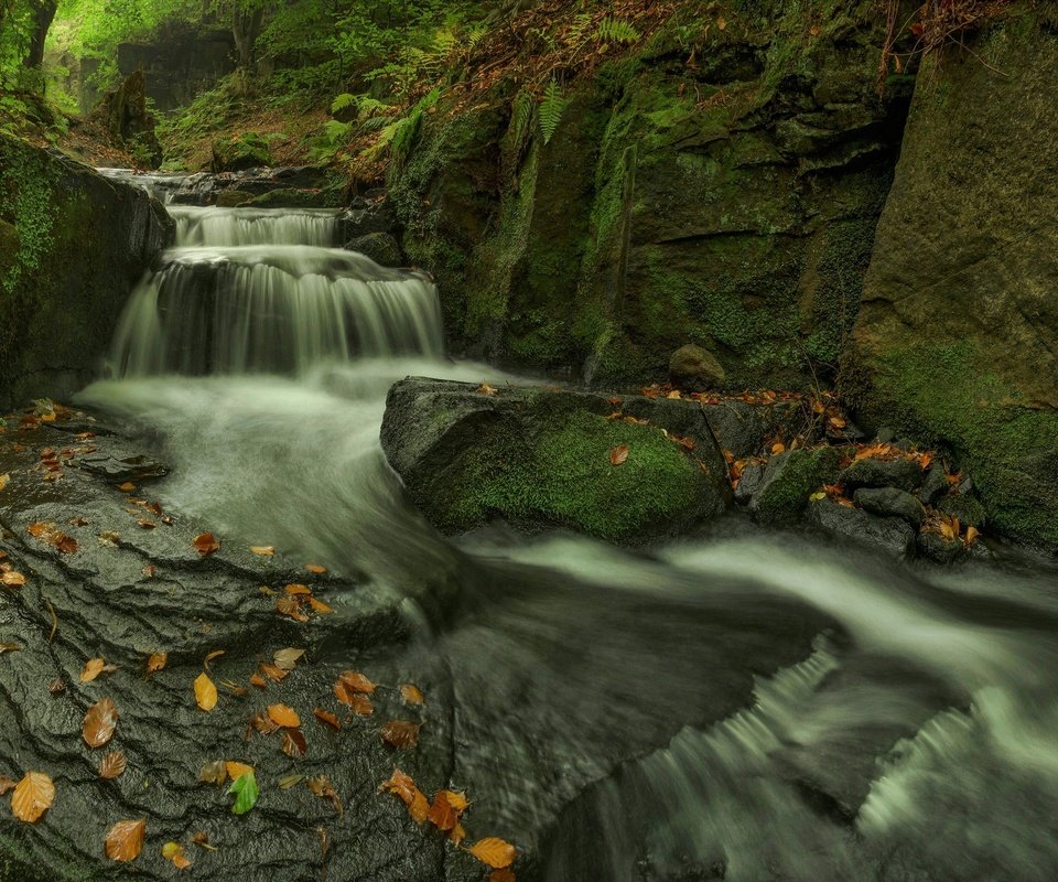 Обои скалы, камни, листья, ручей, водопад, осень, мох, каскад, rocks, stones, leaves, stream, waterfall, autumn, moss, cascade разрешение 2048x1273 Загрузить