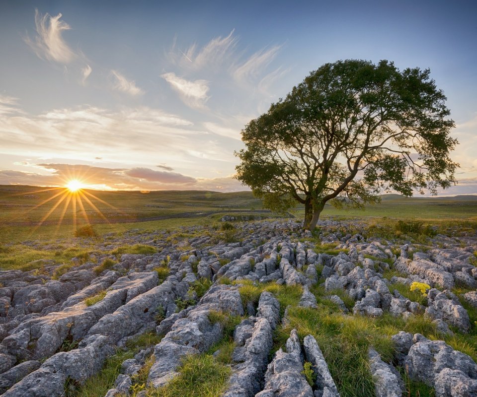 Обои небо, свет, облака, солнце, дерево, камни, утро, поле, the sky, light, clouds, the sun, tree, stones, morning, field разрешение 2560x1707 Загрузить