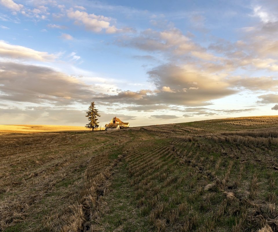 Обои небо, дом, свет, облака, природа, дерево, утро, поле, горизонт, the sky, house, light, clouds, nature, tree, morning, field, horizon разрешение 2048x1367 Загрузить