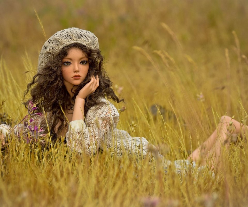 Обои трава, взгляд, игрушка, луг, кукла, волосы, лицо, grass, look, toy, meadow, doll, hair, face разрешение 2000x1333 Загрузить