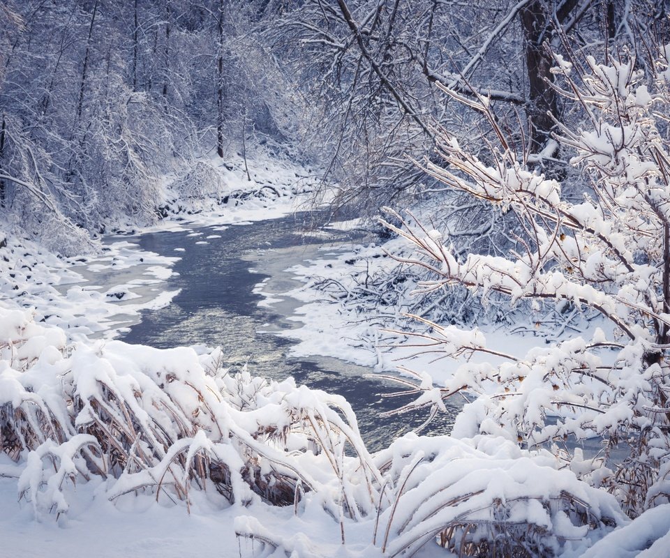 Обои деревья, река, снег, природа, лес, зима, пейзаж, trees, river, snow, nature, forest, winter, landscape разрешение 2880x1800 Загрузить