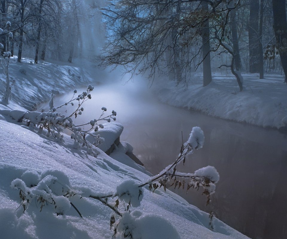 Обои деревья, река, снег, природа, лес, зима, trees, river, snow, nature, forest, winter разрешение 1920x1200 Загрузить