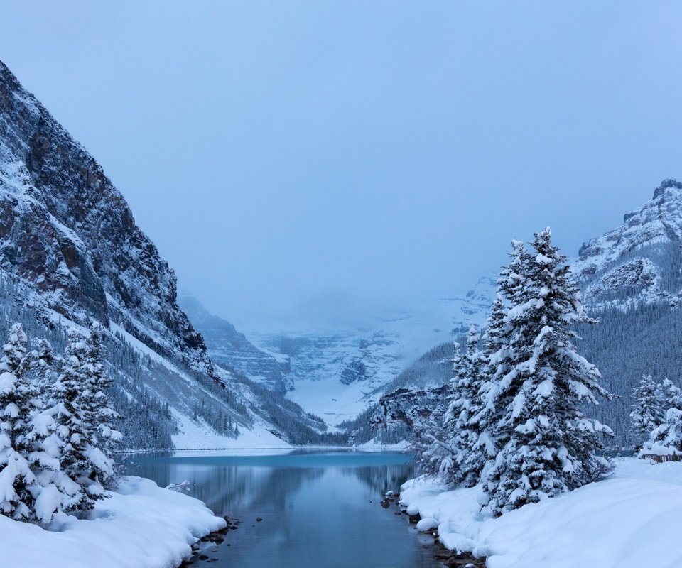 Обои деревья, lake louisebanff, озеро, горы, снег, лес, зима, канада, национальный парк, trees, lake, mountains, snow, forest, winter, canada, national park разрешение 1920x1200 Загрузить