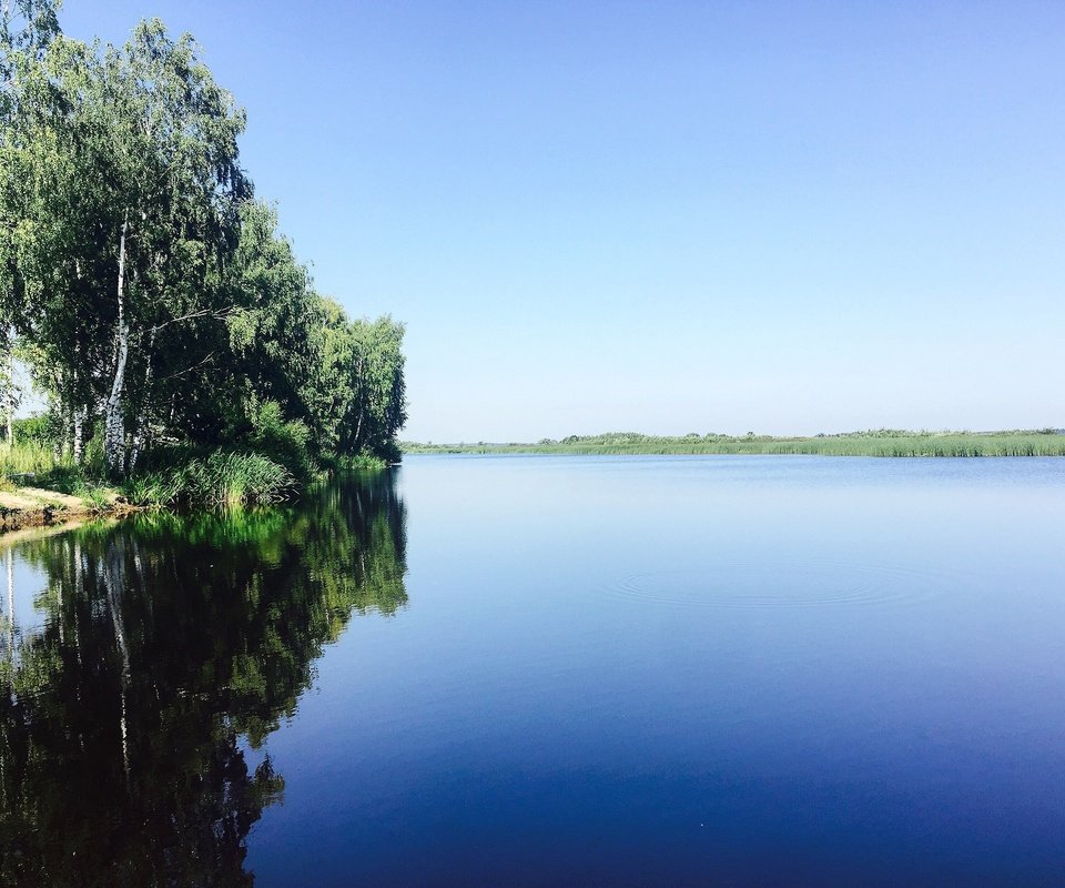 Обои небо, деревья, река, природа, отражение, березы, aristovart, the sky, trees, river, nature, reflection, birch разрешение 3264x2448 Загрузить