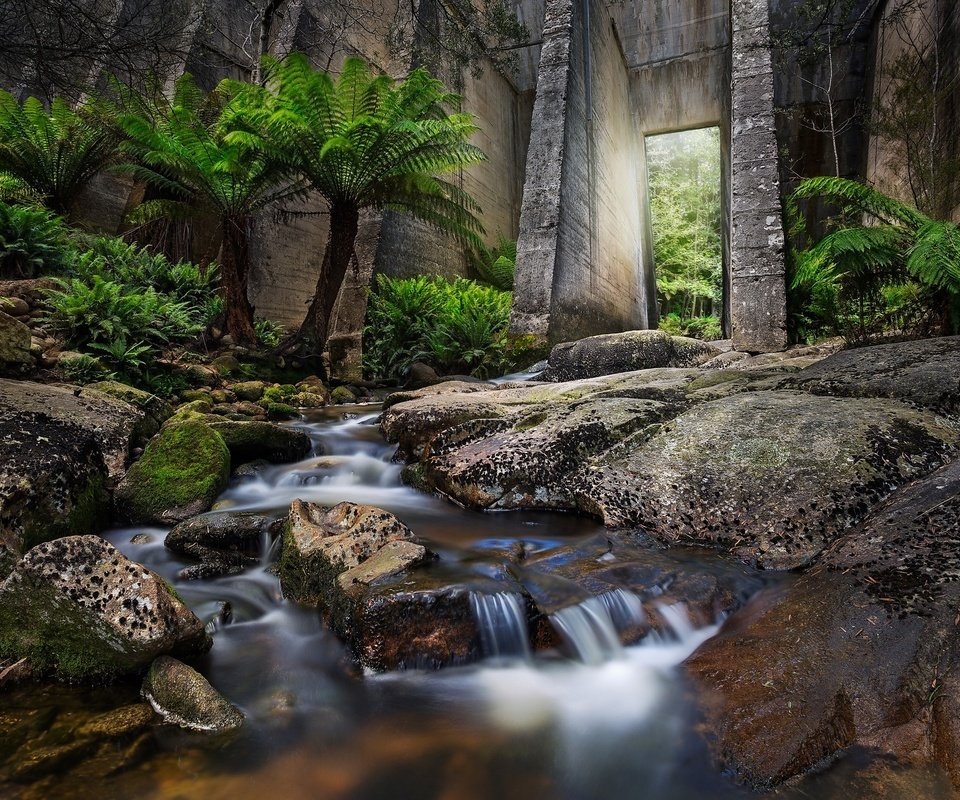 Обои вода, листья, водопад, осень, поток, пальмы, water, leaves, waterfall, autumn, stream, palm trees разрешение 2048x1365 Загрузить