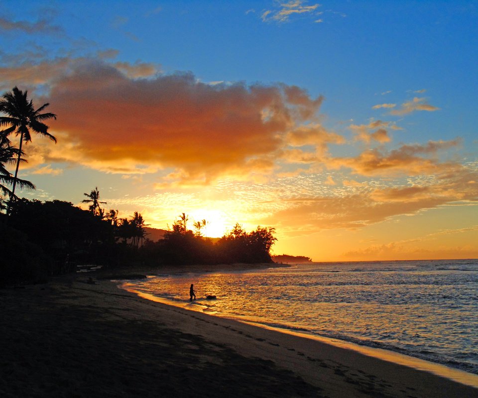 Обои закат, море, пляж, тропики, 5, sunset, sea, beach, tropics разрешение 5184x3888 Загрузить