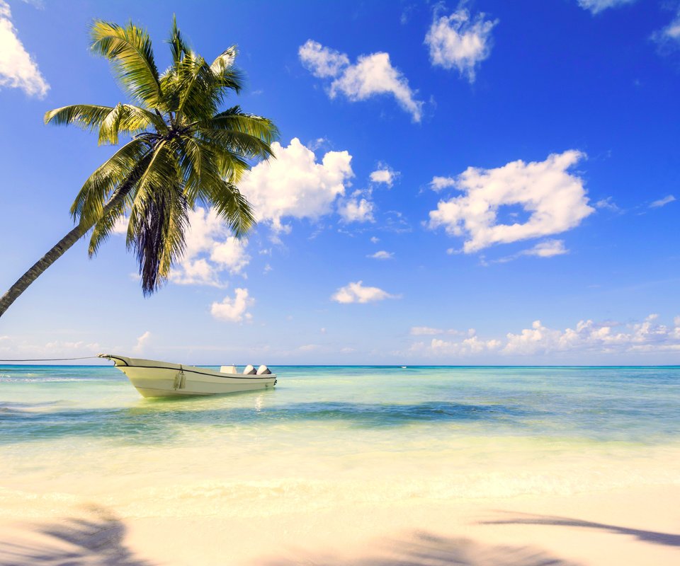 Обои море, пляж, лодка, тропики, sea, beach, boat, tropics разрешение 5971x3981 Загрузить