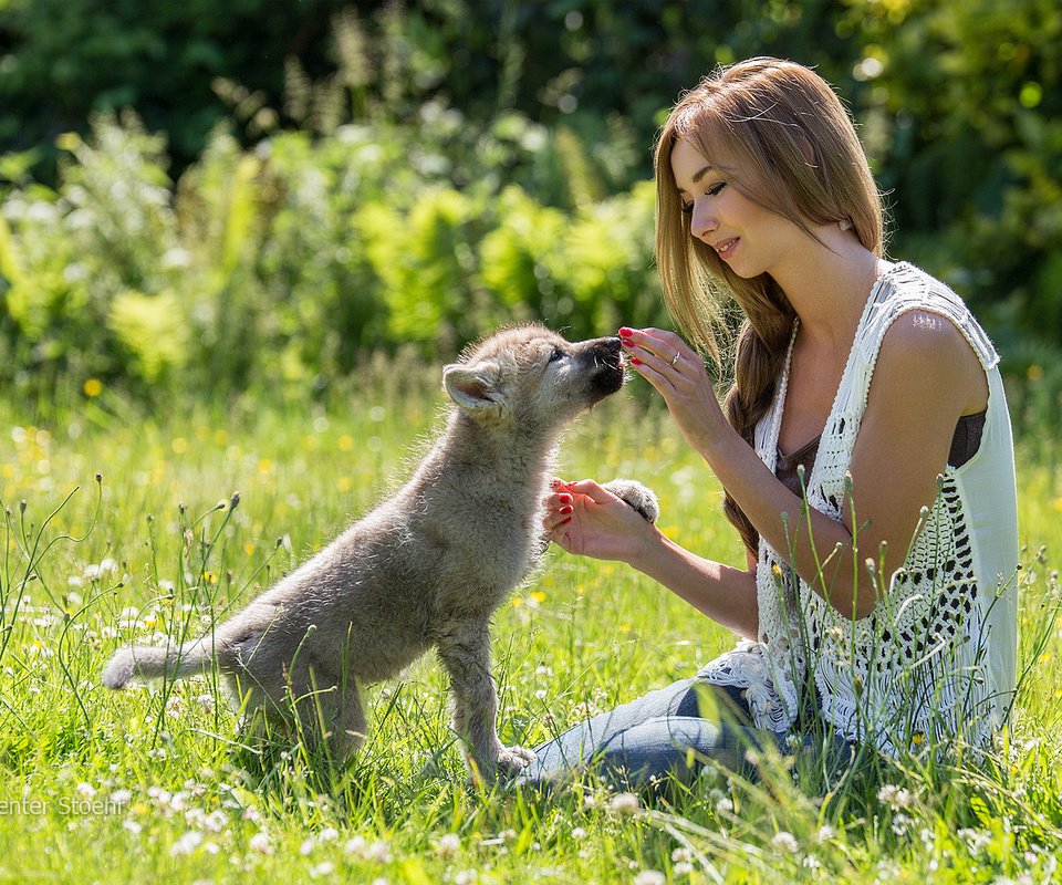 Обои цветы, волосы, трава, лицо, природа, гентер стоер, девушка, улыбка, взгляд, собака, модель, flowers, hair, grass, face, nature, genter stoer, girl, smile, look, dog, model разрешение 2048x1365 Загрузить