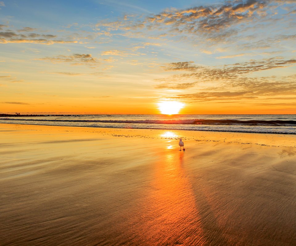 Обои закат, море, пляж, чайка, 14, sunset, sea, beach, seagull разрешение 5426x3593 Загрузить