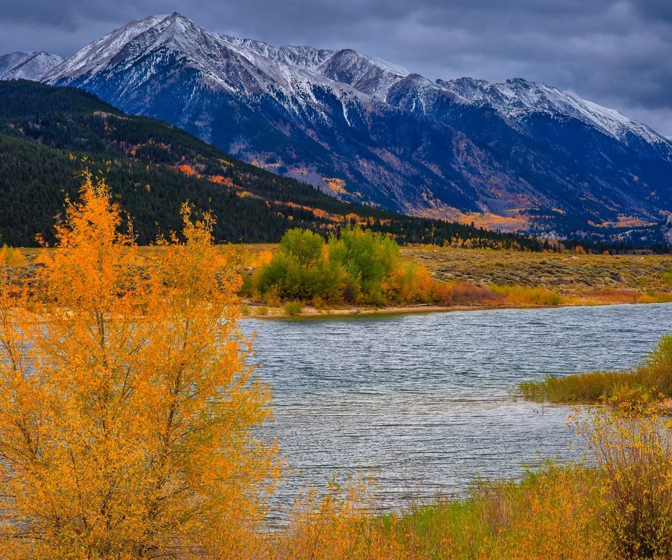 Обои деревья, река, горы, осень, сша, колорадо, аспен, trees, river, mountains, autumn, usa, colorado, aspen разрешение 1920x1360 Загрузить