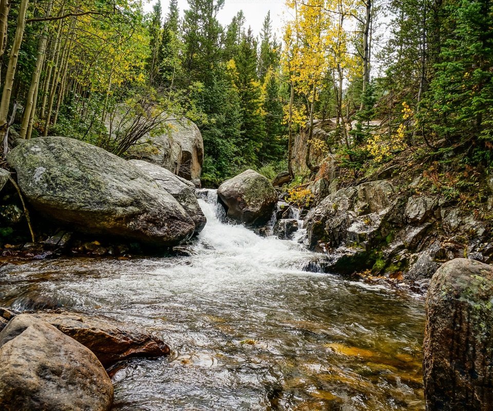 Обои деревья, река, камни, лес, осень, поток, trees, river, stones, forest, autumn, stream разрешение 2048x1365 Загрузить