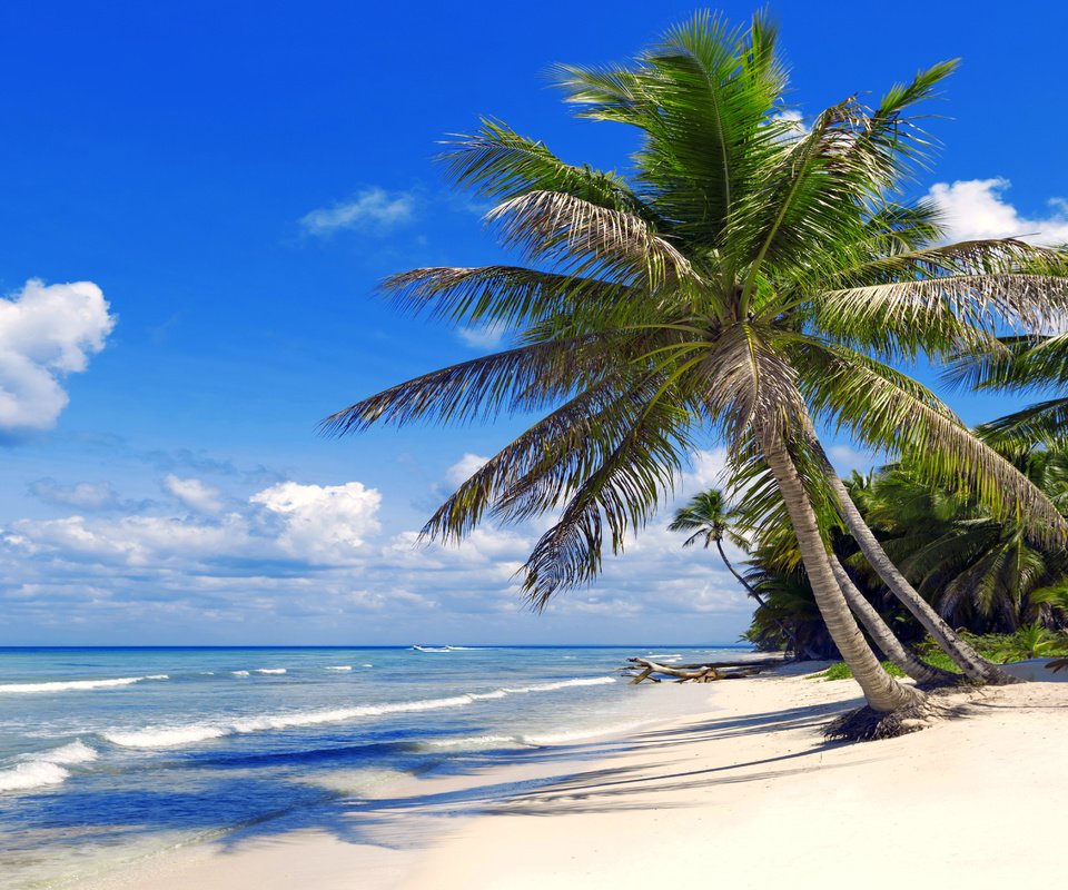 Обои море, пляж, тропики, 3, sea, beach, tropics разрешение 4460x3345 Загрузить