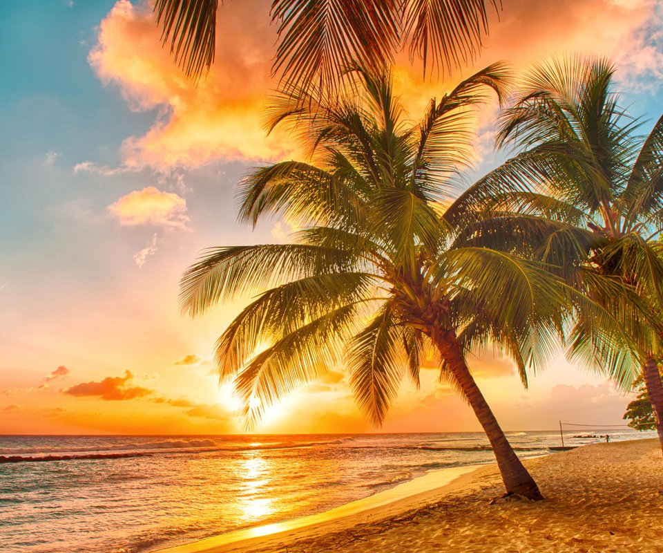 Обои небо, закат, море, песок, пляж, пальмы, тропики, the sky, sunset, sea, sand, beach, palm trees, tropics разрешение 4154x2683 Загрузить