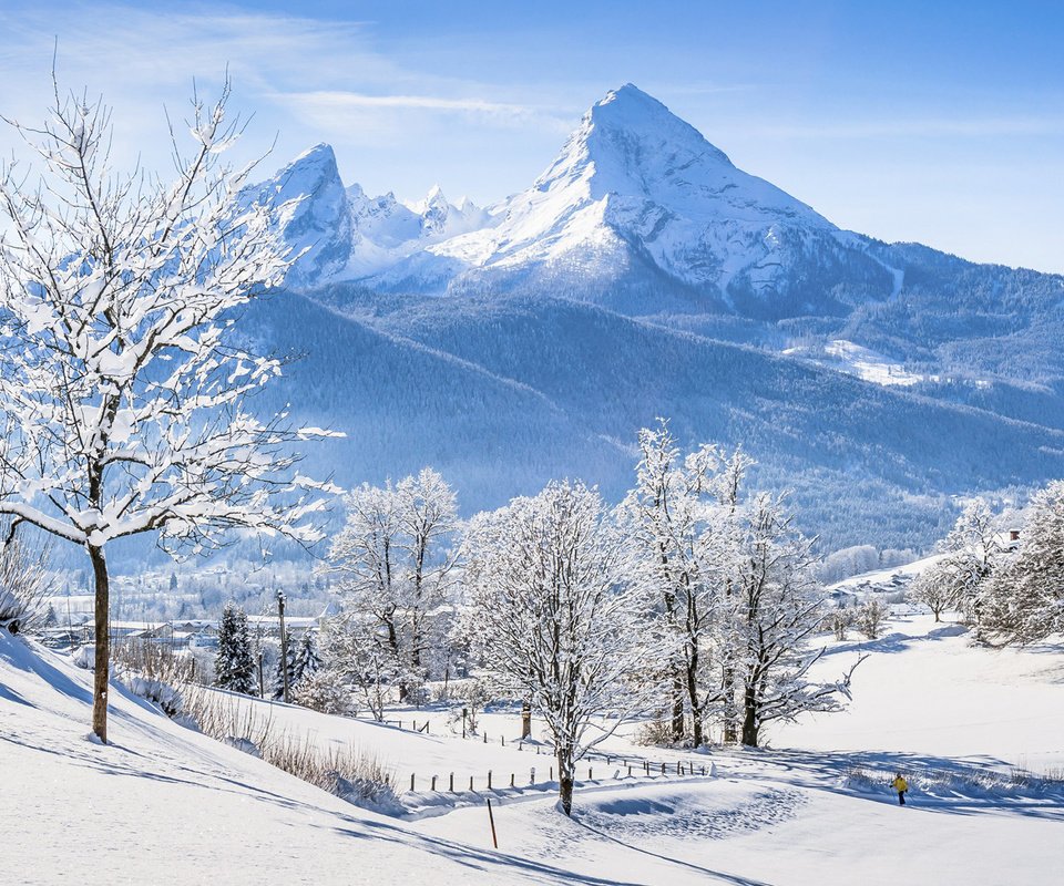 Обои деревья, горы, снег, природа, зима, альпы, бавария, trees, mountains, snow, nature, winter, alps, bayern разрешение 1920x1200 Загрузить