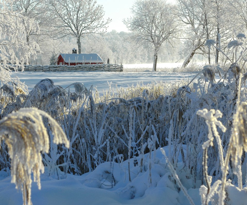 Обои деревья, снег, природа, зима, кусты, иней, деревня, домик, trees, snow, nature, winter, the bushes, frost, village, house разрешение 2880x1800 Загрузить