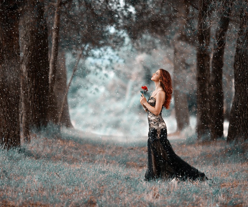 Обои деревья, девушка, парк, платье, цветок, прогулка, снегопад, trees, girl, park, dress, flower, walk, snowfall разрешение 1920x1200 Загрузить