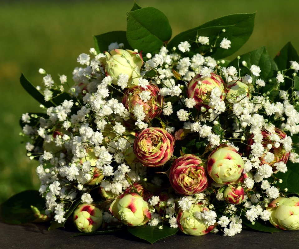 Обои цветы, листья, букет, ранункулюс, лютик, гипсофила, flowers, leaves, bouquet, ranunculus, buttercup, gypsophila разрешение 5992x3808 Загрузить